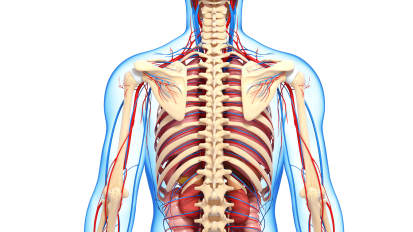 Ali Bydon Performs a Spinal Cord AV Fistula Repair