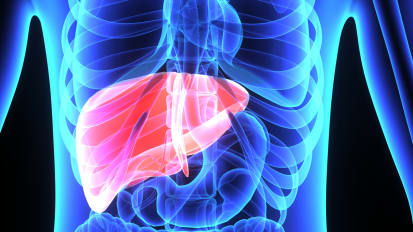 Hepatology: Healing the Liver