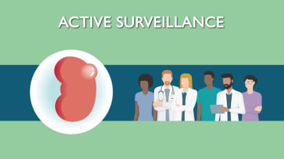 Active Surveillance for Kidney Cancer