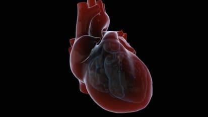 Eisenmenger Syndrome & Pulmonary Hypertension in Congenital Heart Disease