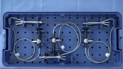 KARL STORZ Sialendoscopes 