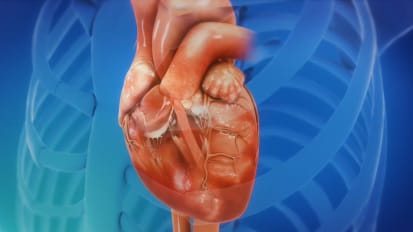 Transcatheter Tricuspid Valve Therapies