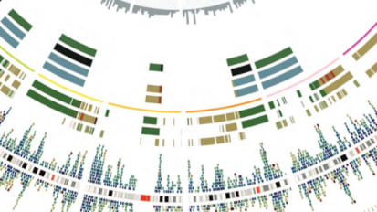 Right on Target: Clinical Genomics Identifies Cancer Patients Likely to Benefit from Targeted Therapies