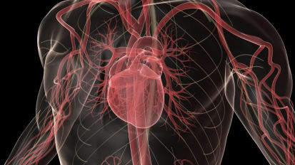 Aortic Protocol