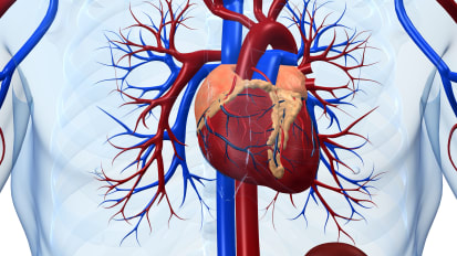 John Muir Health Cardiovascular Clinical Research Program