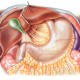 PANCREAS_STOMACH