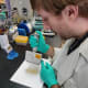 Daniel Stadlbauer, PhD, a postdoctoral fellow in Florian Krammer’s laboratory, adds a substrate to an ELISA plate that indicates whether antibodies binding to the spike protein of the SARS-CoV-2 virus are present in a human serum sample. The deep yellow color indicates antibodies are present. No color means that antibodies are not present.