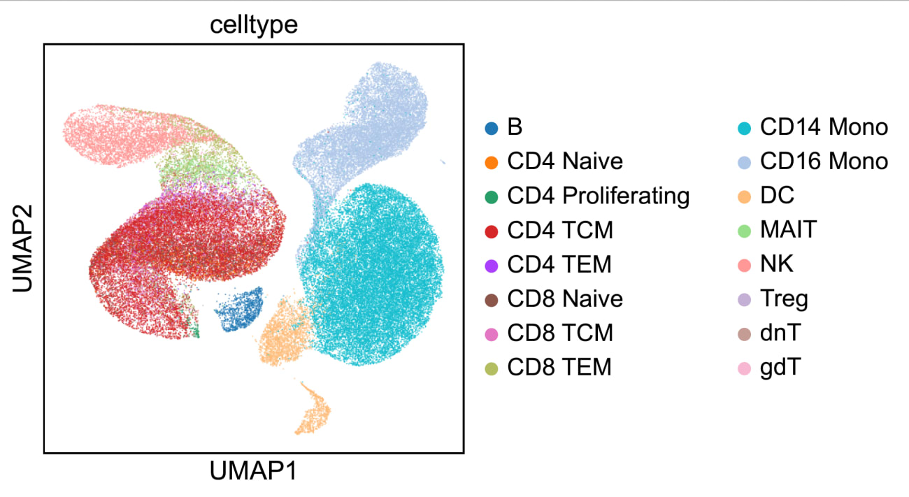 ZAIDI UMAP celltype