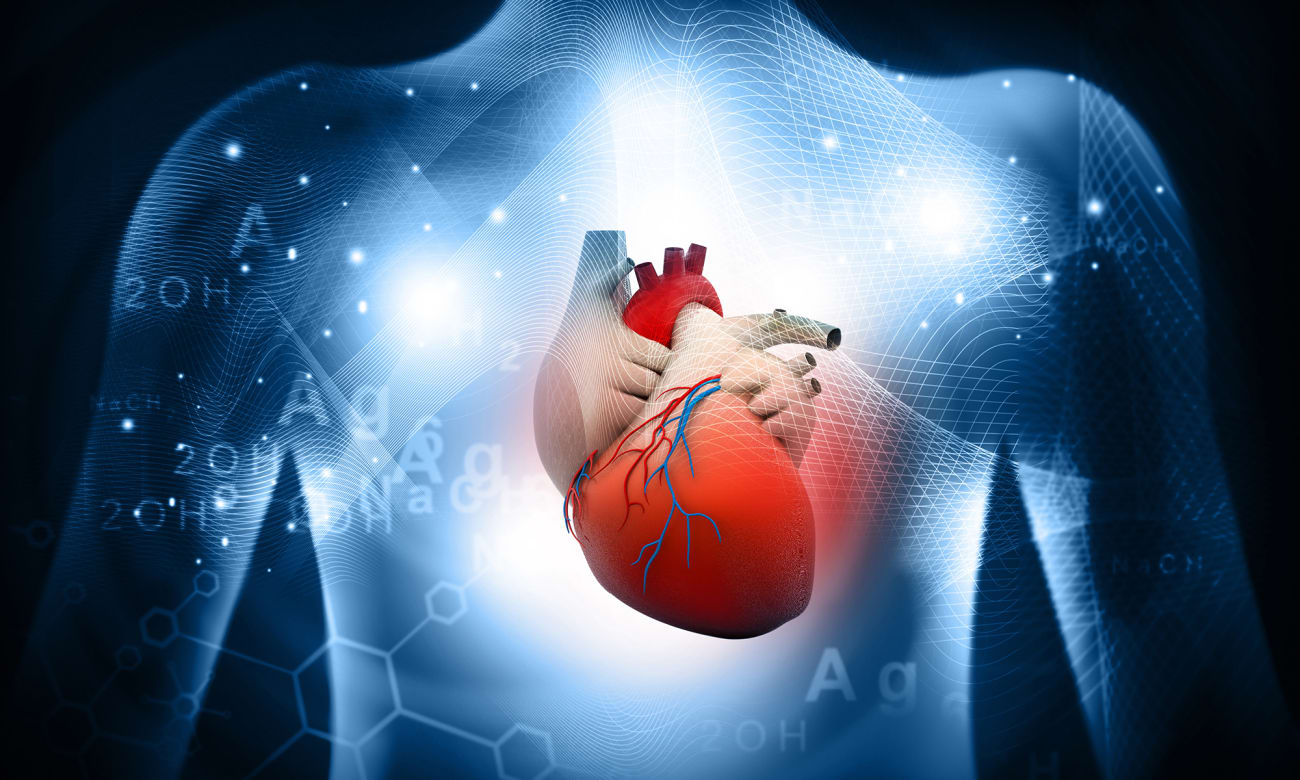 Preventing and Treating Cardiovascular Toxicity from Cancer