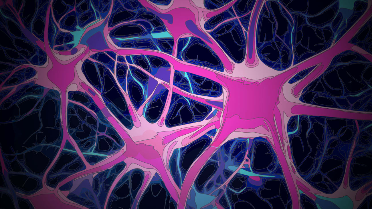 The Friedman Brain Institute Fall 2024 BroadcastMed