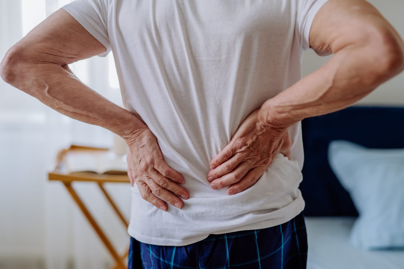 Lower Back Pain Linked to Subtype of Cells in Spinal “Shock Absorbers