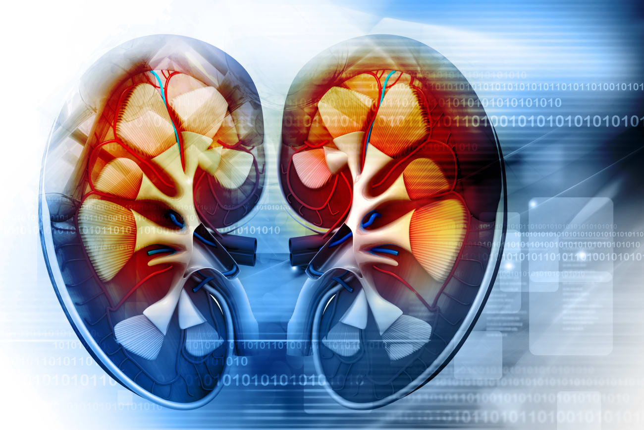 Big Data Helps Shape A New Model for Live Kidney Donation Johns