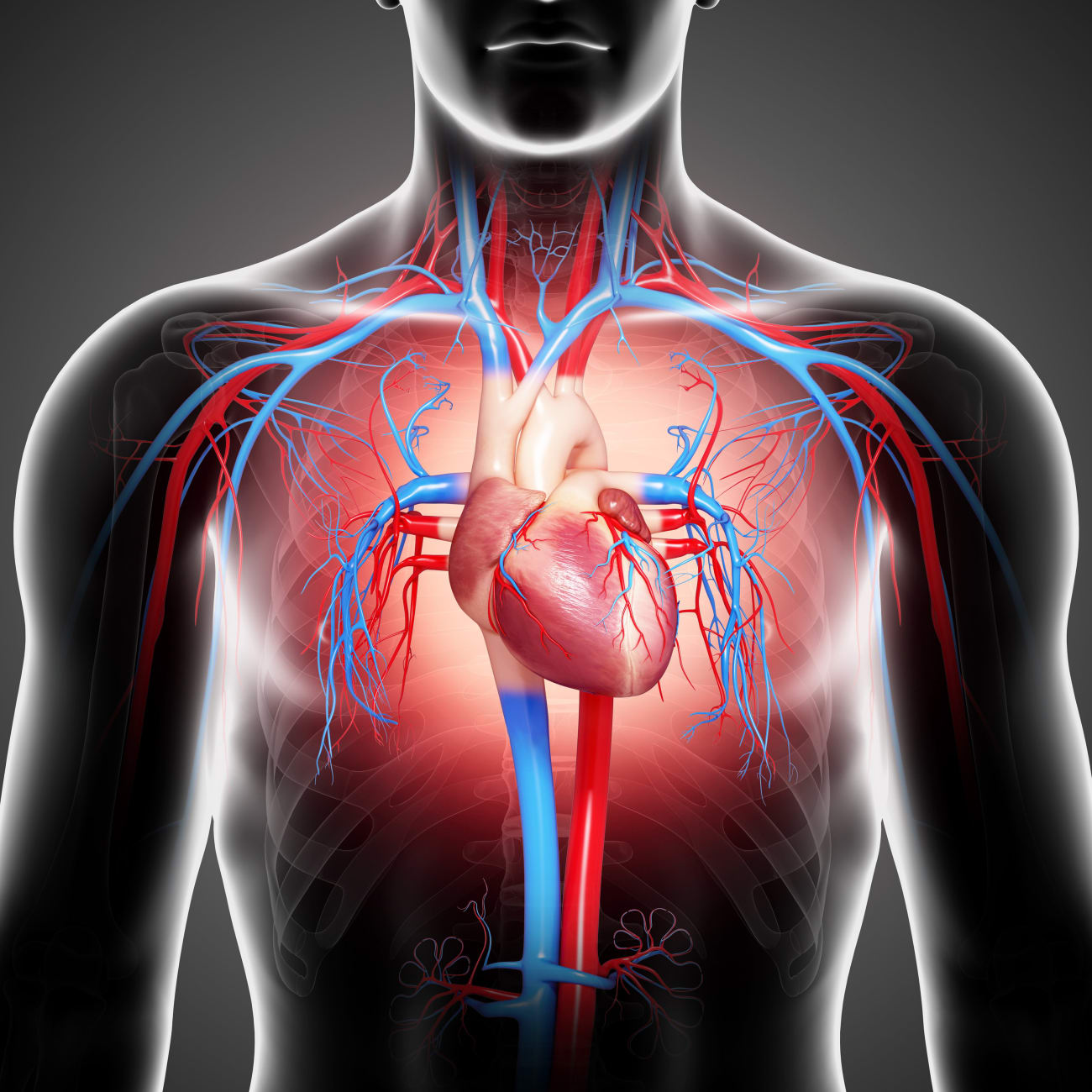 Heart And Vascular Innovations At Emory Emory Healthcare