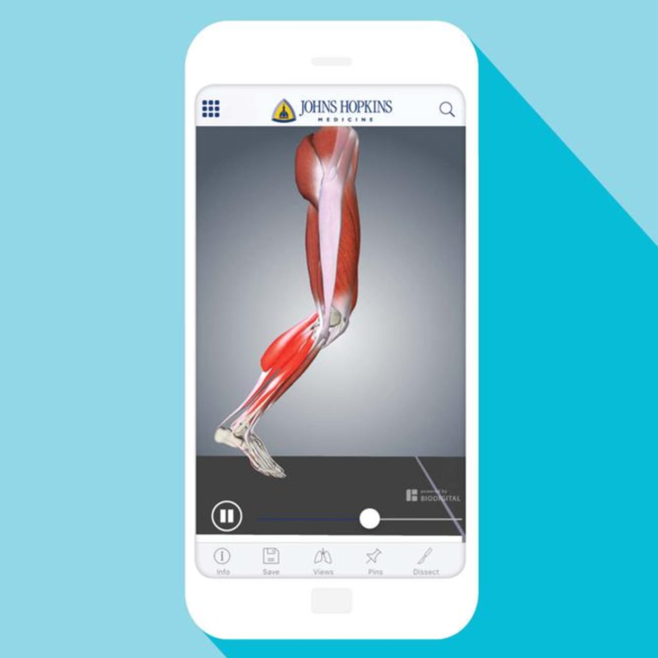 Anatomy App Offers Interactive Learning from Johns Hopkins Expert BroadcastMed