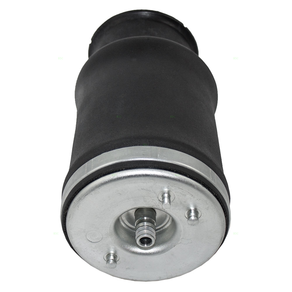 9703 BMW 5 Series E39 Drivers Rear Air Bag Suspension Spring