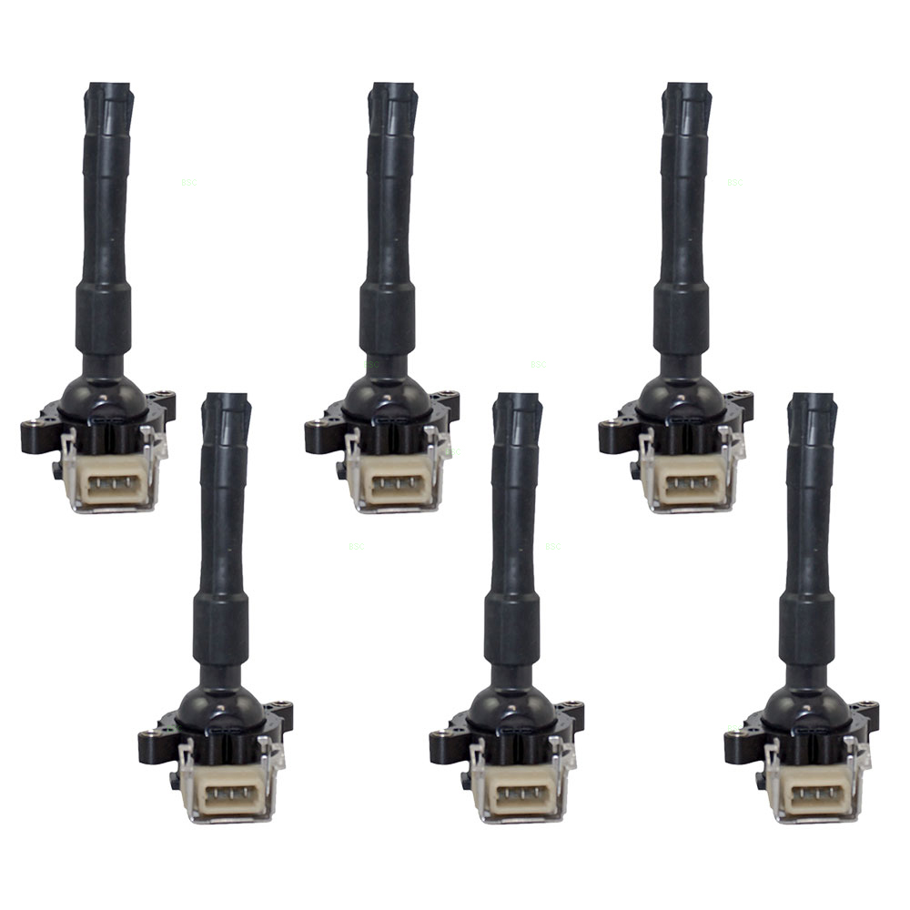 BMW 3 Series 525i 528i 530i X5 Z3 6 cyl 6 Pc Set of Ignition Spark Plug