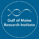 Gulf of Maine Research Institute