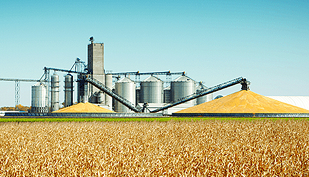 ESTADO RETOMA OFICIALMENTE COMPLEXO AGRO-INDUSTRIAL DE CAXITO  