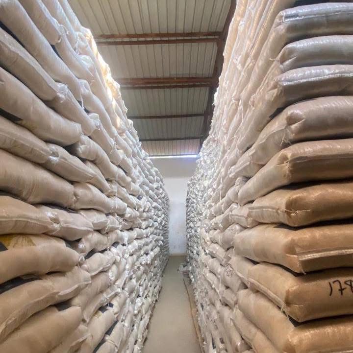 APREENDIDOS 22 MIL SACOS DE ARROZ IMPRÓPRIO PARA O CONSUMO EM CABINDA