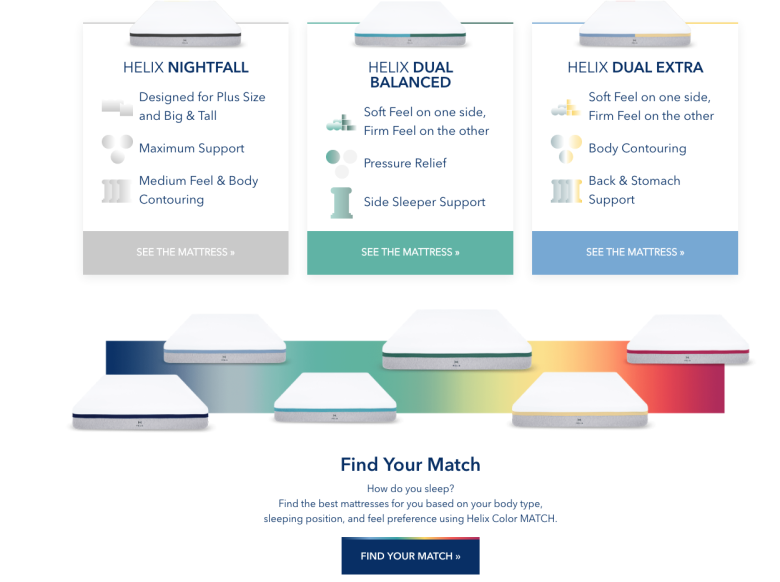 Specialised template, colour palette, and images all support