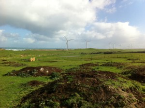 wind photo-lt