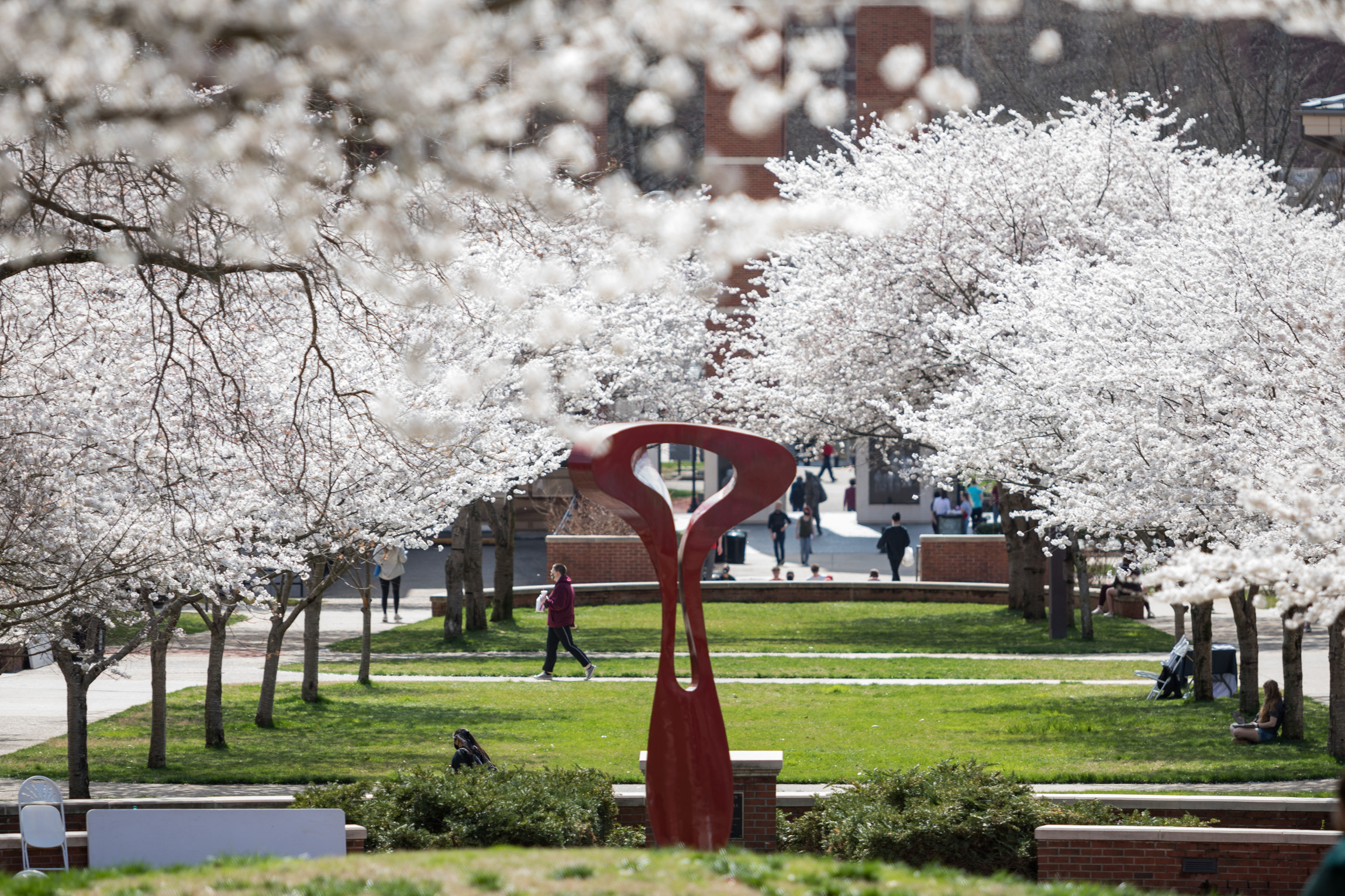 Spring Break Residence Halls Close The WKU Parent & Family Portal