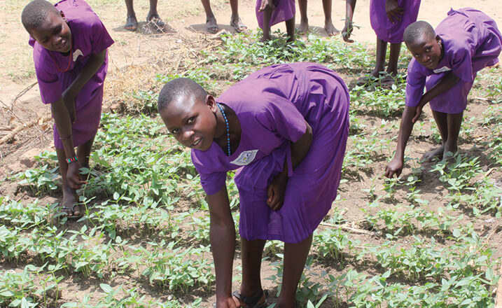 Ugandan school girls work in their school garden
