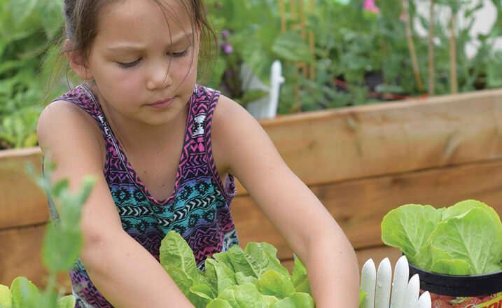 Canadian girl Zoe working in her school garden