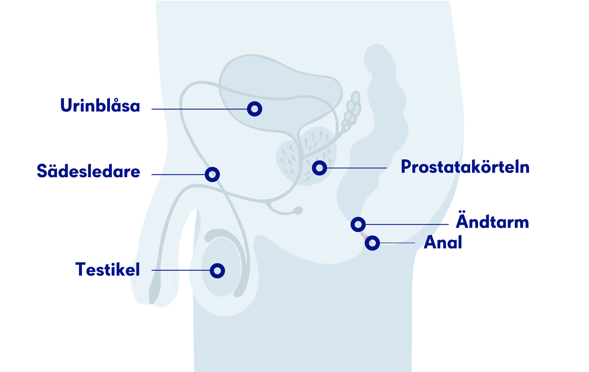 Illustration analcancer