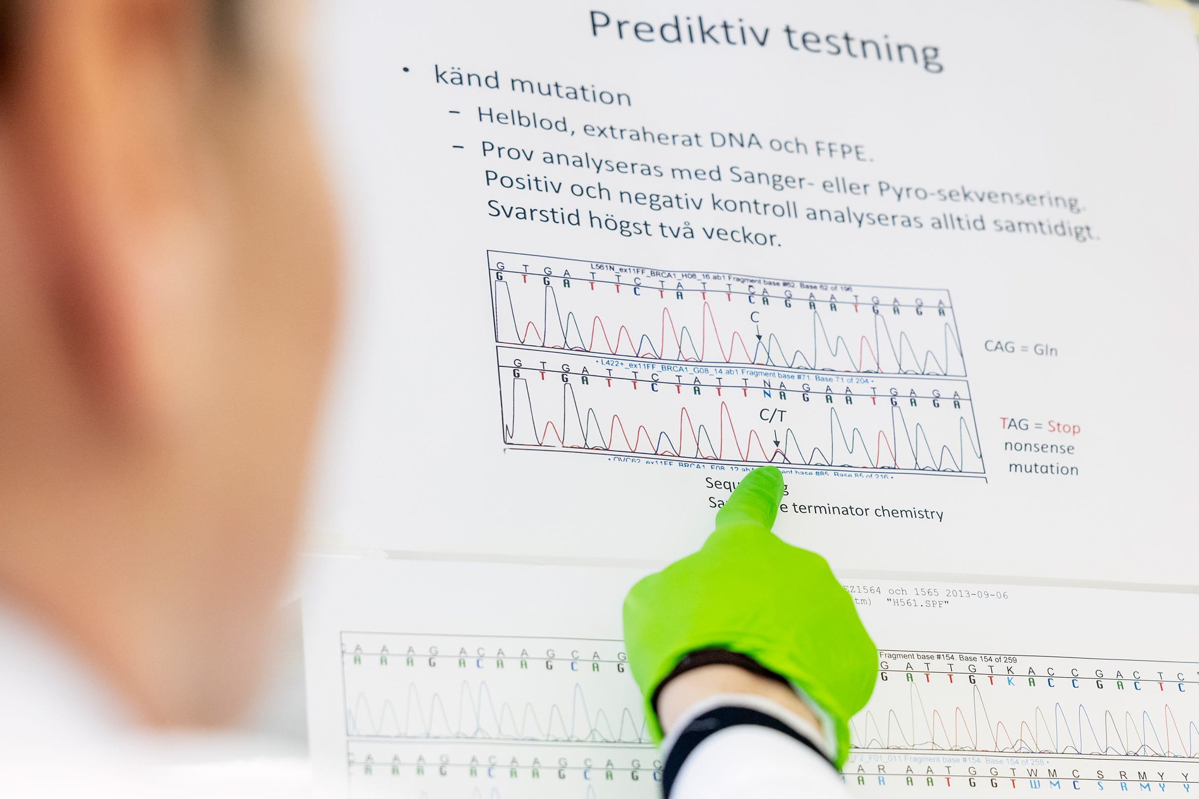 handskbeklädd hand pekar på en graf