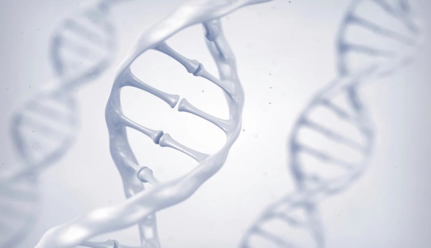 DNA-stege