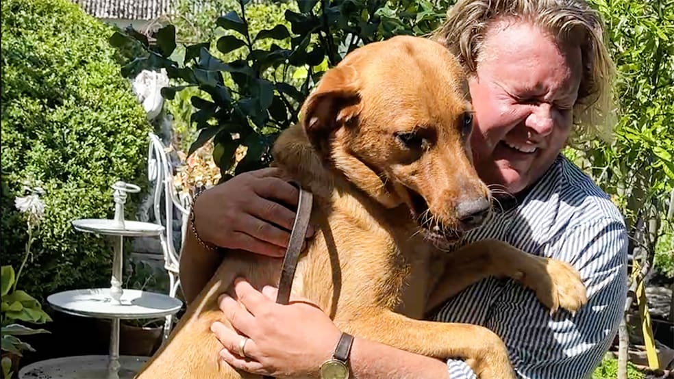 Man med busig brun hund