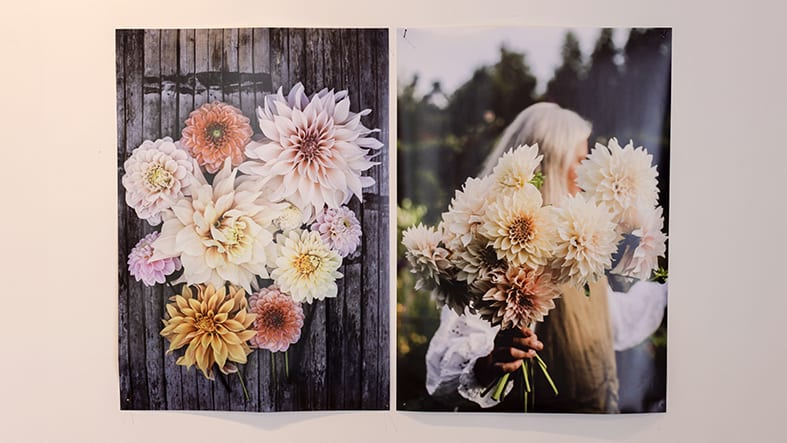 Fotografier av kvinna med blomsterfång