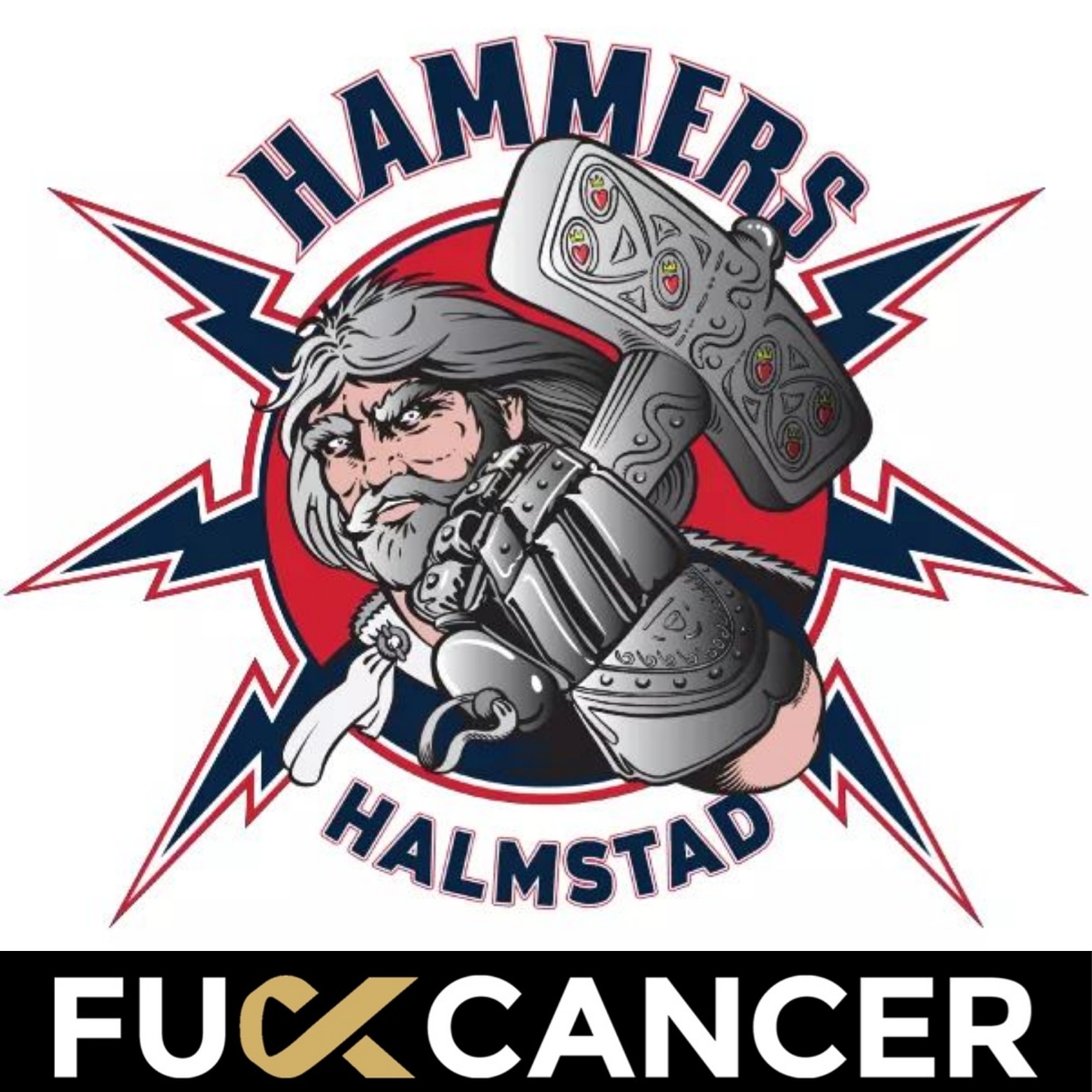 Halmstad Hammers Alag och Juniorlag Cancerfonden