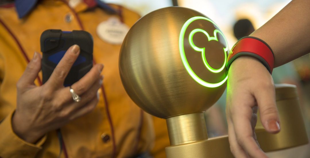 My First Trip To Disney World: What You Need To Know