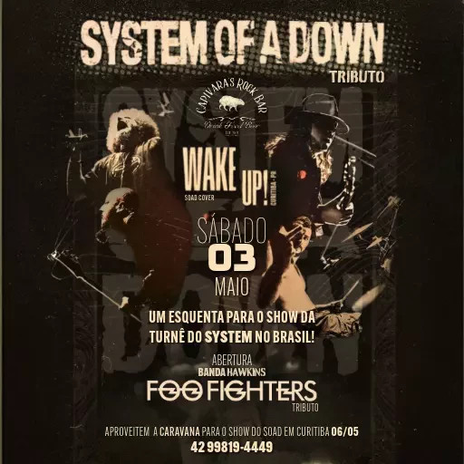 System of a Down + Foo Fighters @ Ponta Grossa - PR