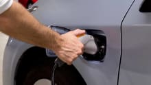 What does 'going green' really mean? What does 'going green' really mean?