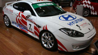 Motor sports stars