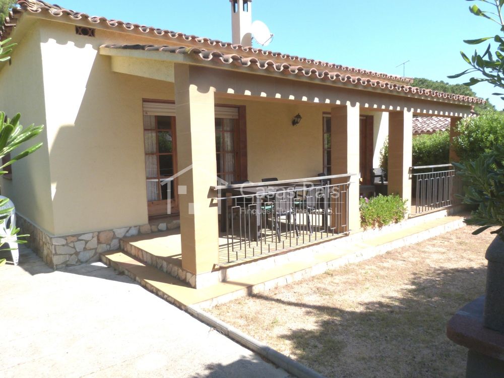 Get Wallpaper Casas Pals Casa A Pals For iPhone Free