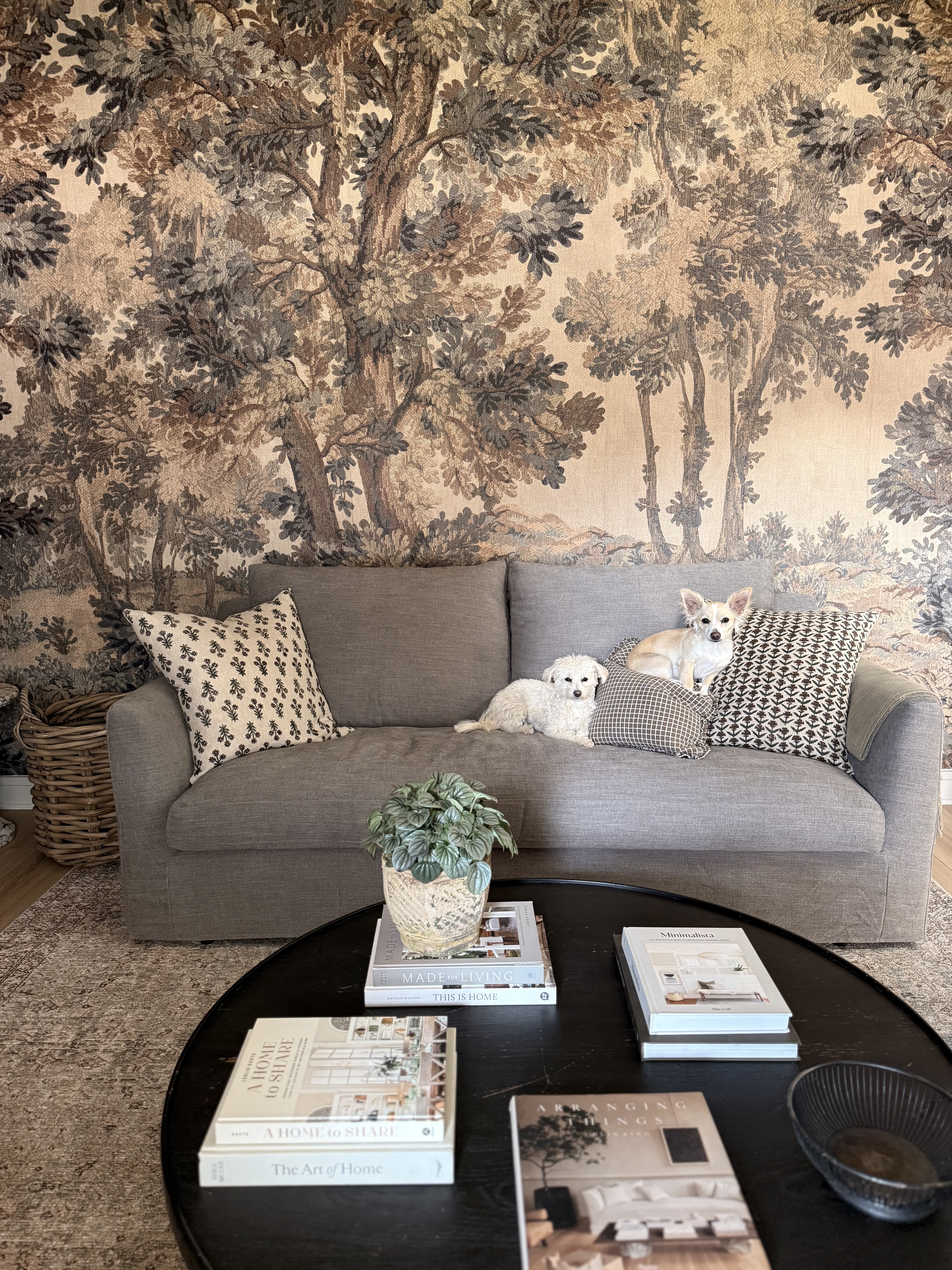 A perfect sofa for every day life ⭐️⭐️⭐️⭐️⭐️
