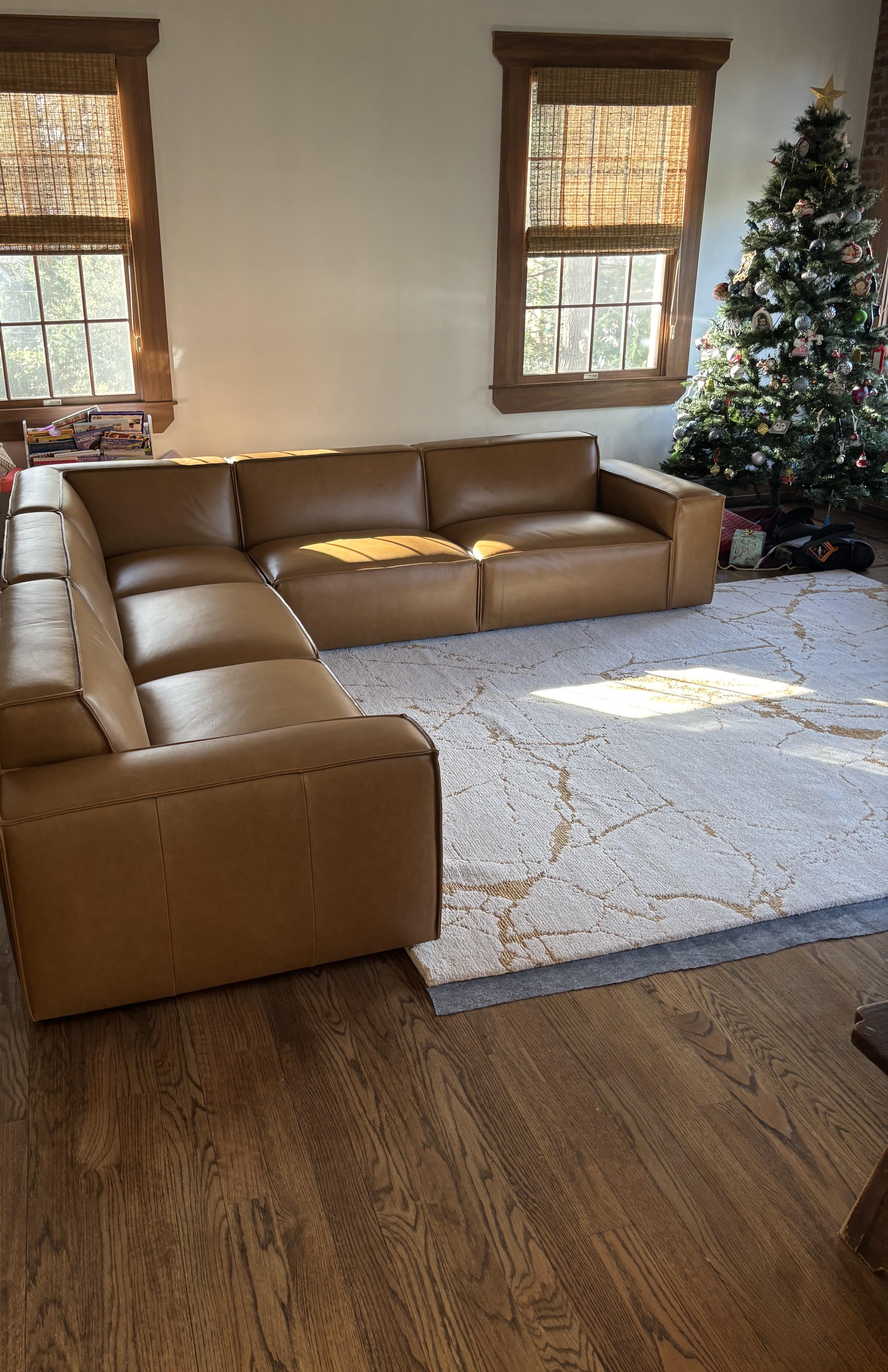 Love this Sofa!