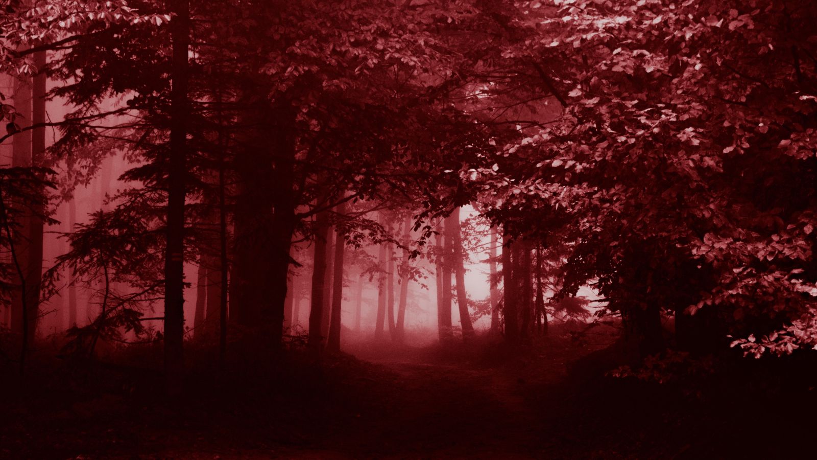 Chapter 3 Ep. 15 | Seeing Red