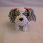 SHIH TZU SHIH TZU
