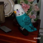 Budgie Budgie