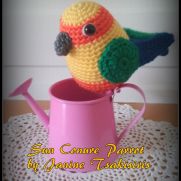 Sun Conure Sun Conure