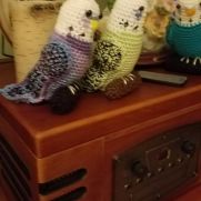 More budgies More budgies