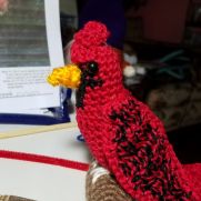 Cardinal Cardinal