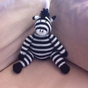 Zebra Zebra