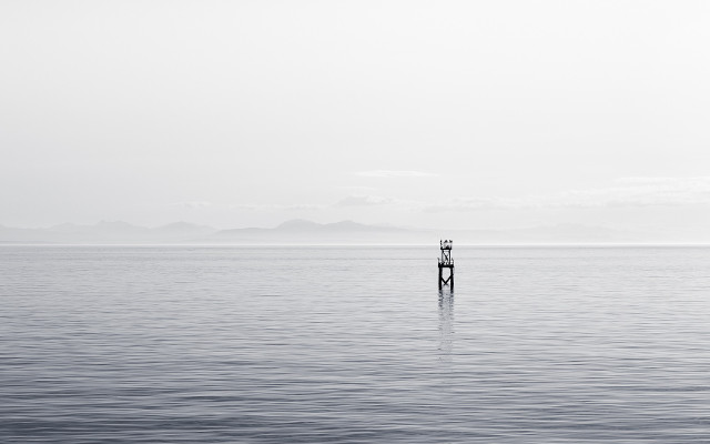 Real World Projects can guide you in your career