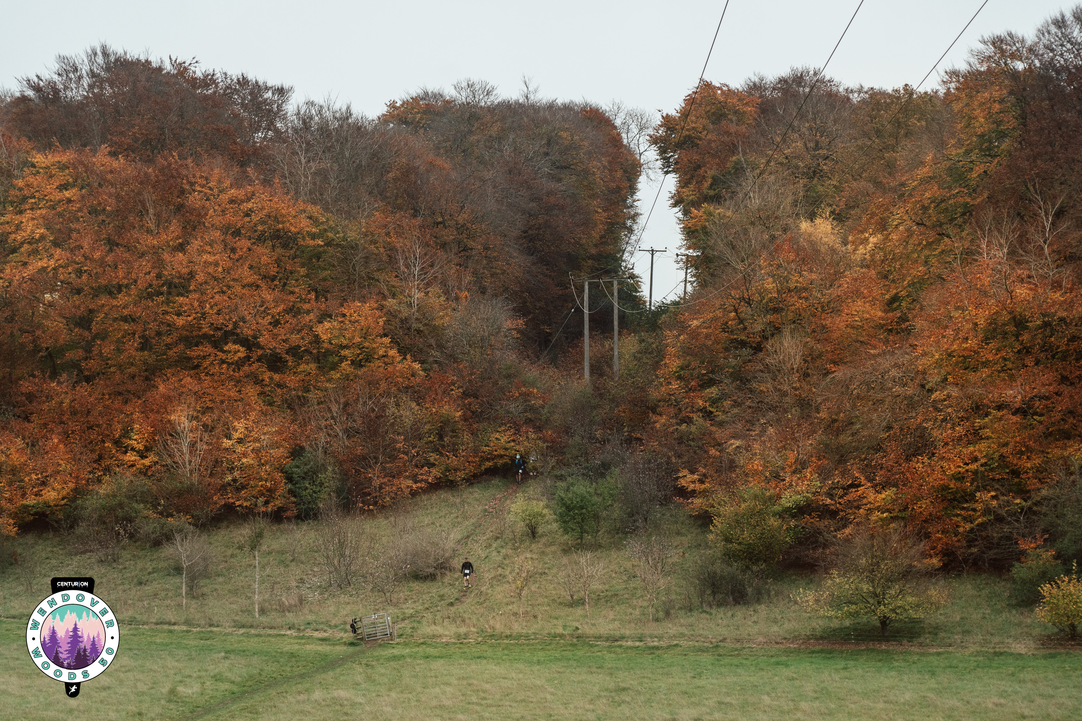 Weekly News 11. WW50 Preview, GPT100, Tunnel Hill, Age Group Records